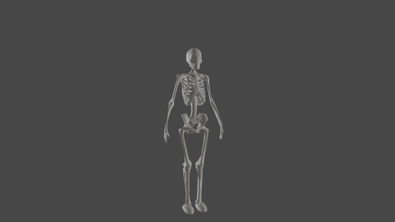 Cartoony Rigged Low Poly Skeleton Model Low-poly 3D model_6