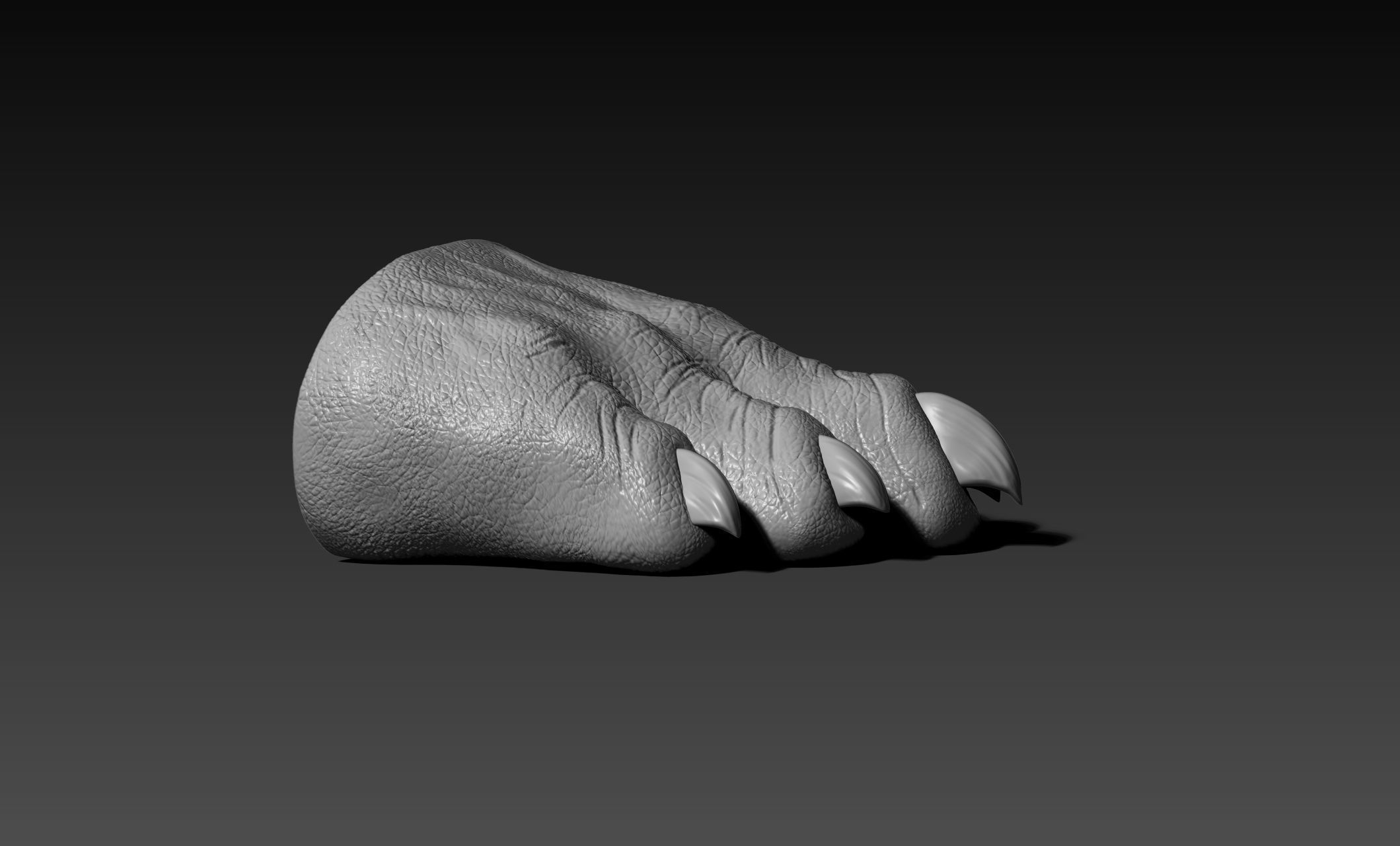 Black Krrsantan Toes Feet cosplay 3D print model_3