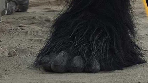 Black Krrsantan Toes Feet cosplay 3D print model_6