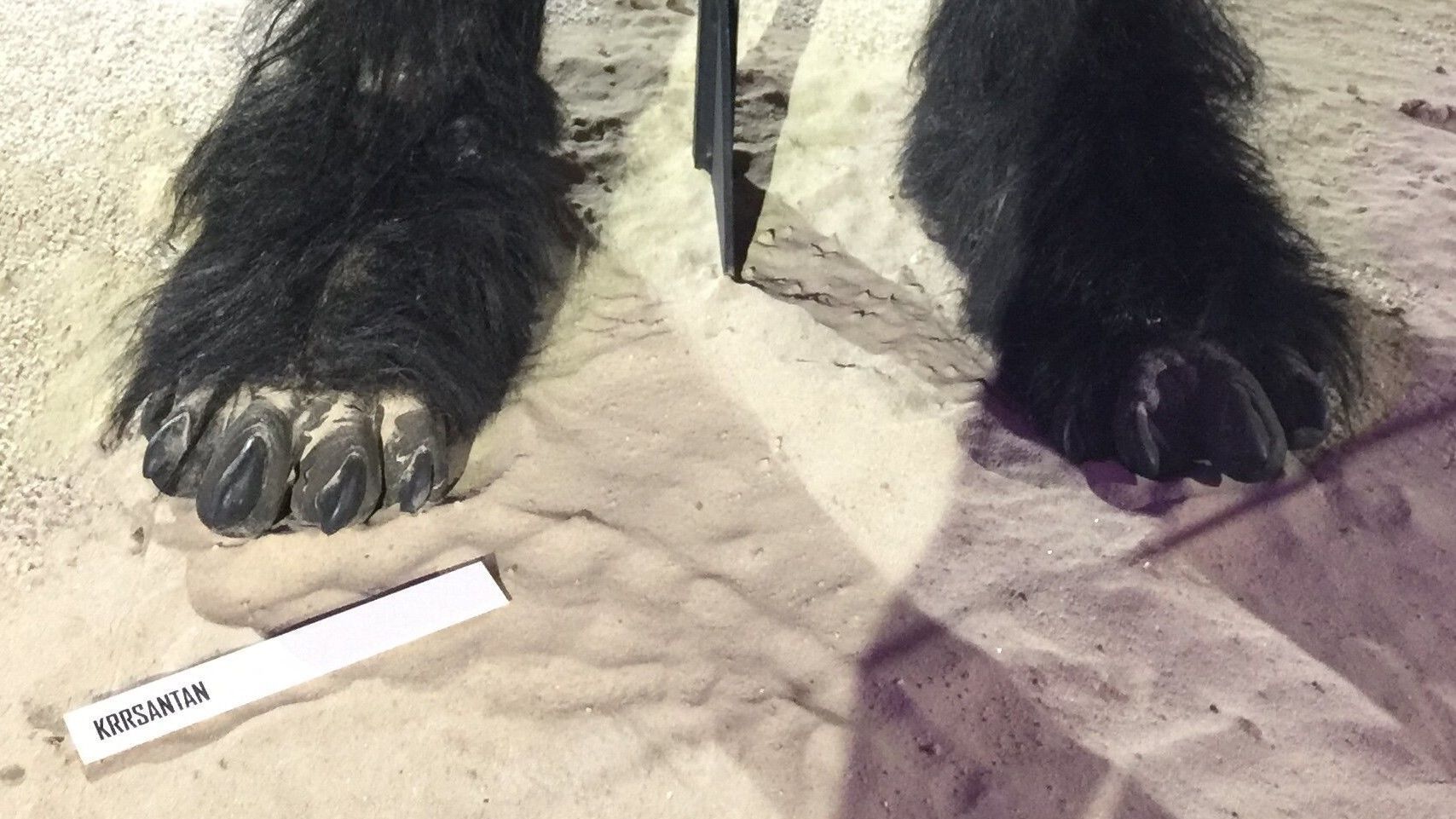 Black Krrsantan Toes Feet cosplay 3D print model_1