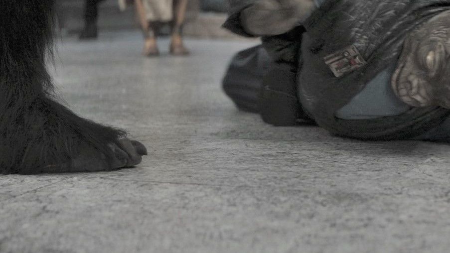 Black Krrsantan Toes Feet cosplay 3D print model_4