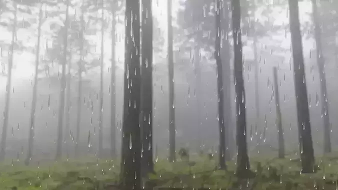 Realistic rain table with falling