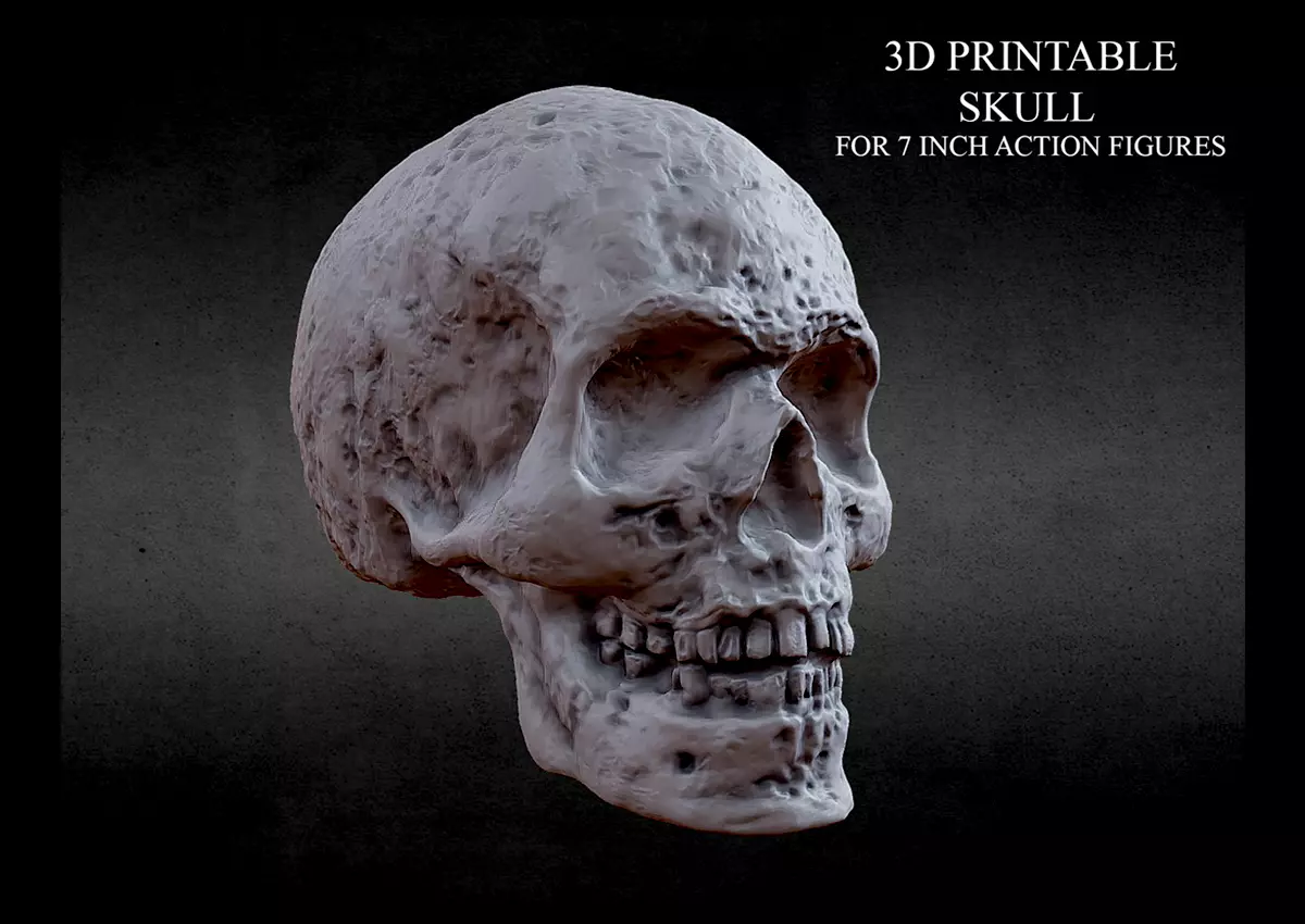 3D PRINTABLE SKULL FOR 7 INCH FIGURES 20MM 3D print model