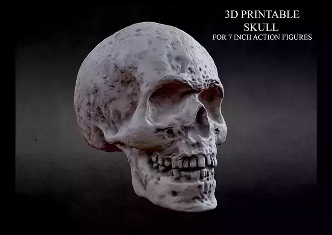 3D PRINTABLE SKULL FOR 7 INCH FIGURES 20MM