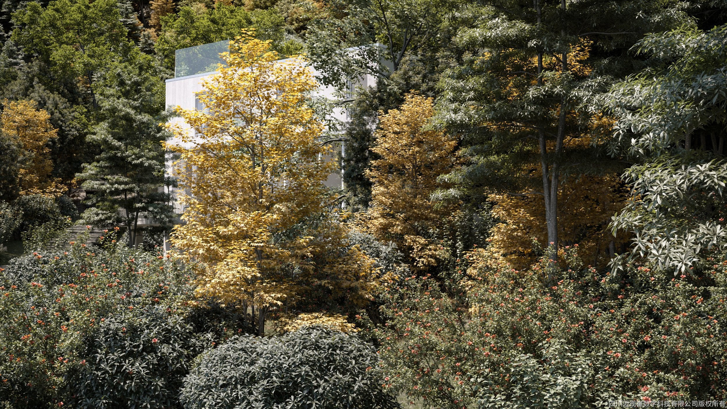 Maxtree Plant Models Vol 11 - Mesh 3D model_2