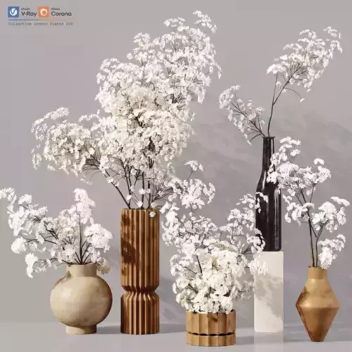 Collection Indoor Plants 030 Low-poly 3D model