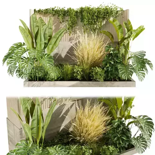 Collection plant vol 468 - garden - grass - outdoor - palm 3D model Collection plant vol 468 - garden - grass - outdoor - palm 3D model