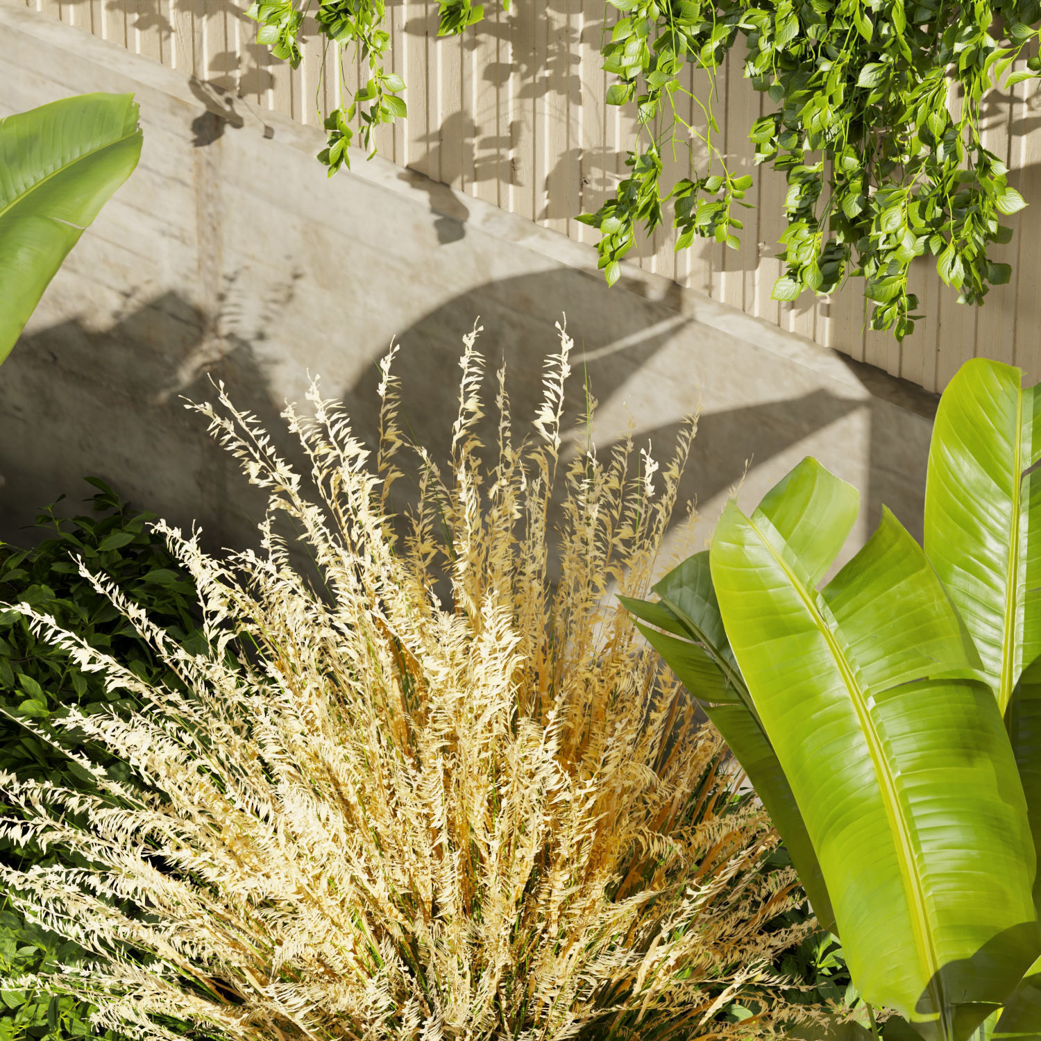 Collection plant vol 468 - garden - grass - outdoor - palm 3D model_2