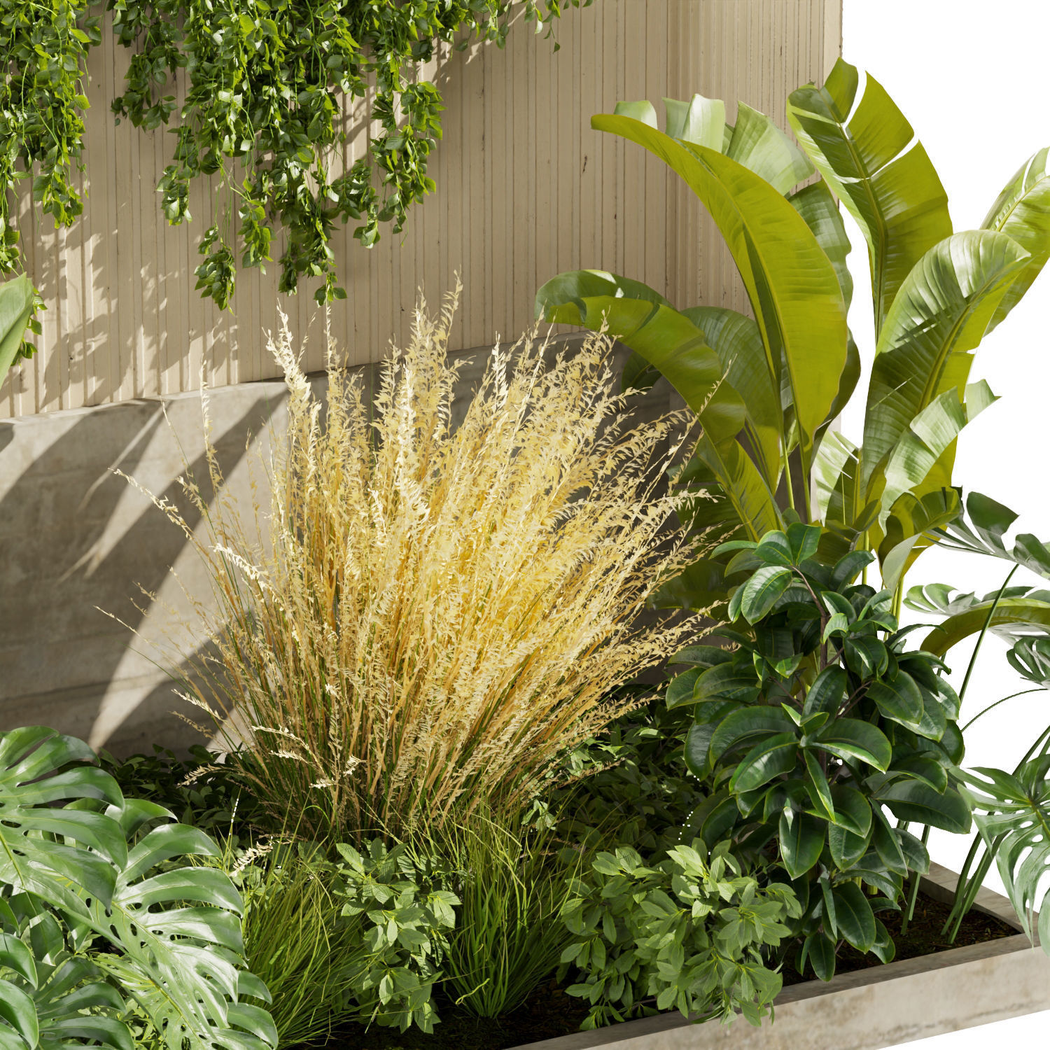 Collection plant vol 468 - garden - grass - outdoor - palm 3D model_3