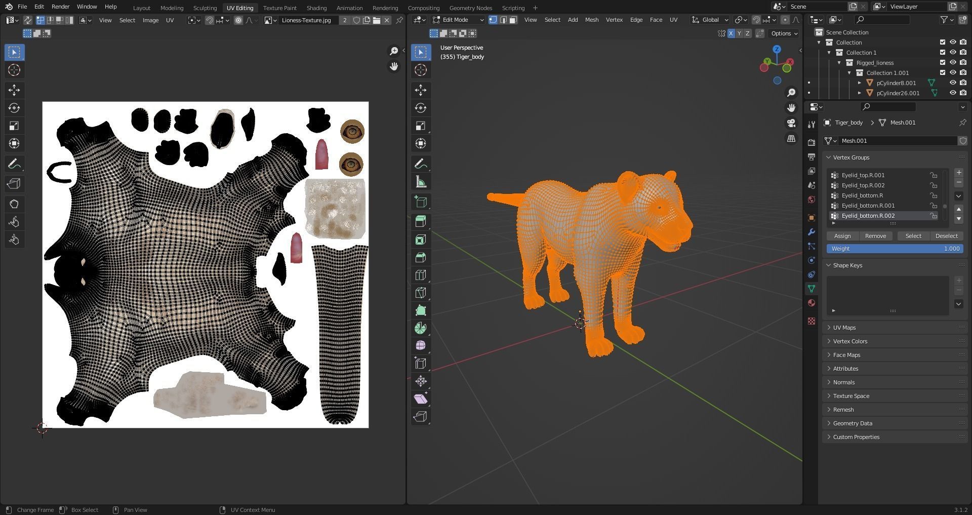 Fur Lioness V01 Rigged and Animation in Blender Low-poly 3D model_28