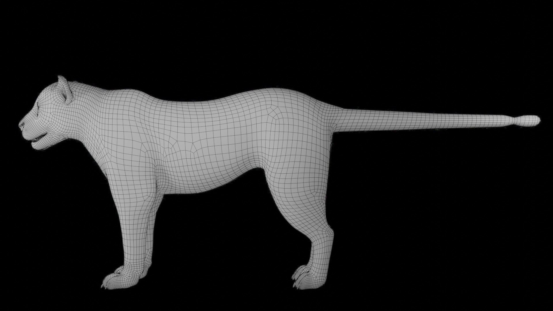 Fur Lioness V01 Rigged and Animation in Blender Low-poly 3D model_31