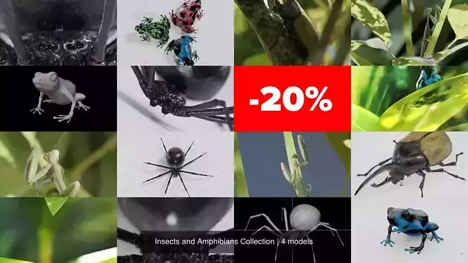 Insects and Amphibians 3D Model Collection