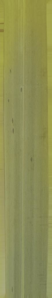 FAIR STAND DESIGN  3D print model_17