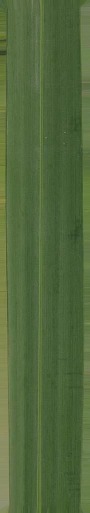 FAIR STAND DESIGN  3D print model_34