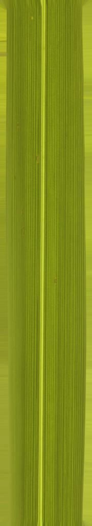 FAIR STAND DESIGN  3D print model_15