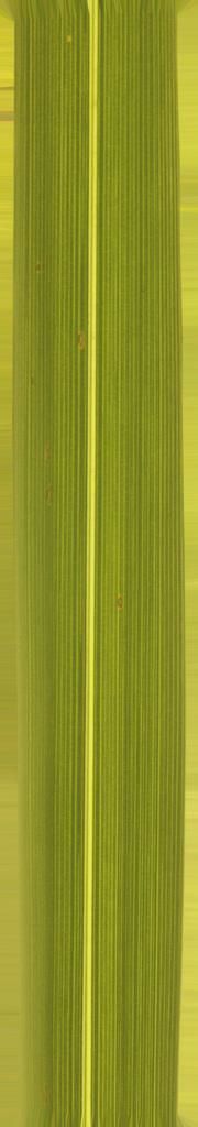 FAIR STAND DESIGN  3D print model_30