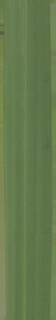 FAIR STAND DESIGN  3D print model_70