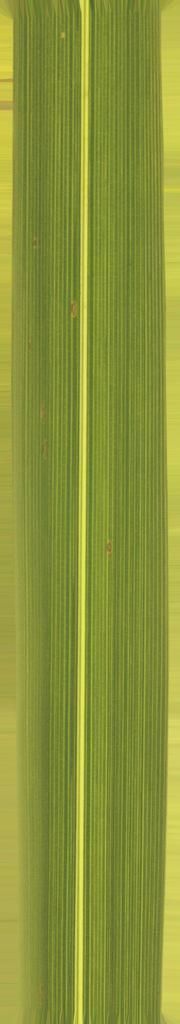 FAIR STAND DESIGN  3D print model_58