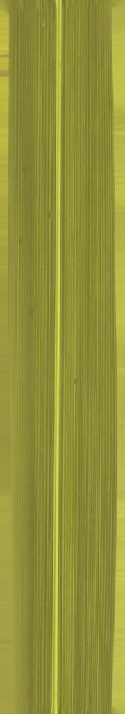 FAIR STAND DESIGN  3D print model_16