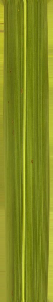 FAIR STAND DESIGN  3D print model_10