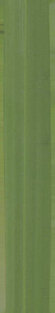 FAIR STAND DESIGN  3D print model_42