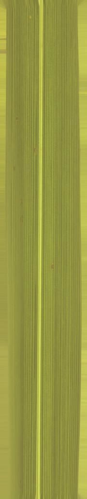 FAIR STAND DESIGN  3D print model_12