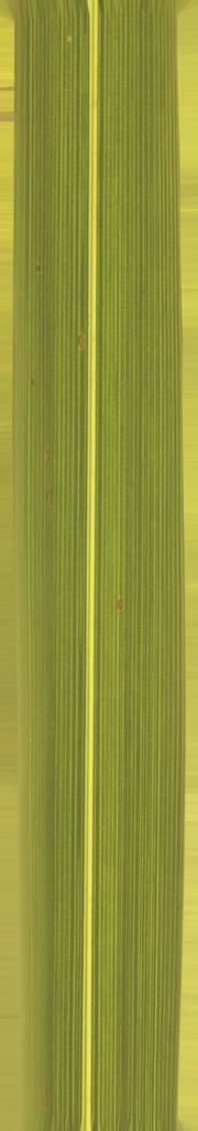 FAIR STAND DESIGN  3D print model_25