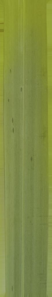 FAIR STAND DESIGN  3D print model_20