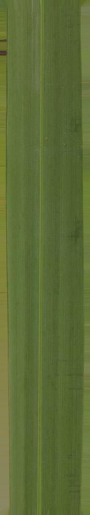 FAIR STAND DESIGN  3D print model_29