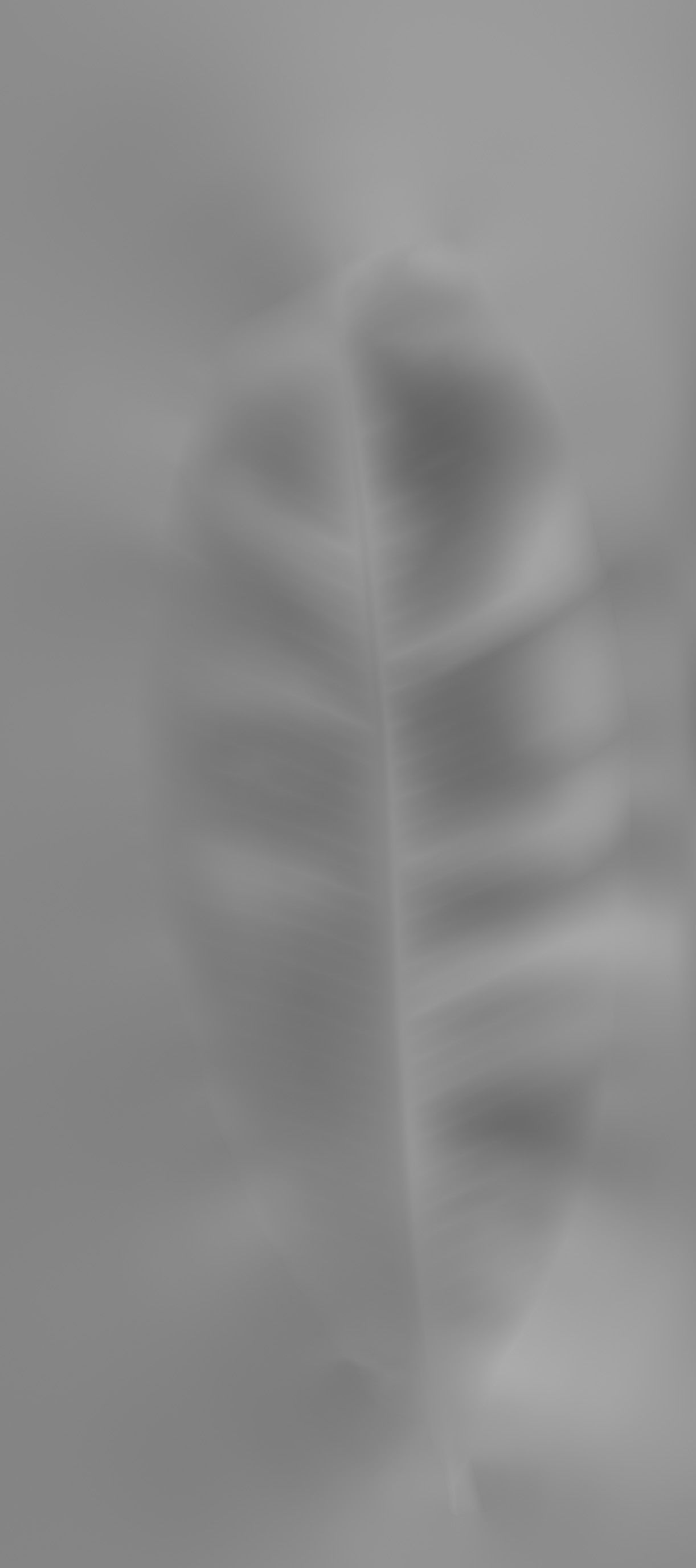 FAIR STAND DESIGN  3D print model_65