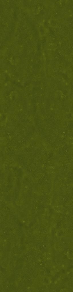 FAIR STAND DESIGN  3D print model_26