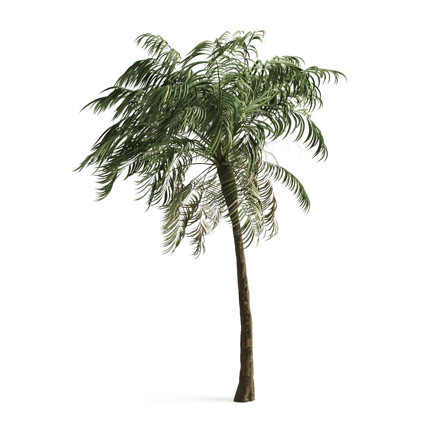 FAIR STAND DESIGN  3D print model_74