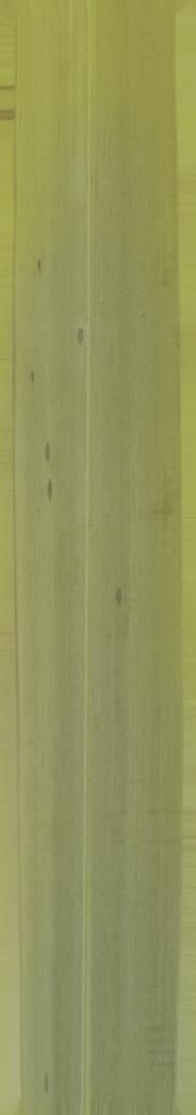 FAIR STAND DESIGN  3D print model_13