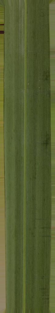 FAIR STAND DESIGN  3D print model_67