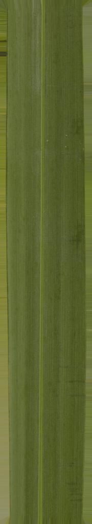 FAIR STAND DESIGN  3D print model_31