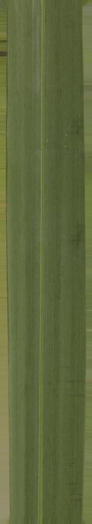 FAIR STAND DESIGN  3D print model_44