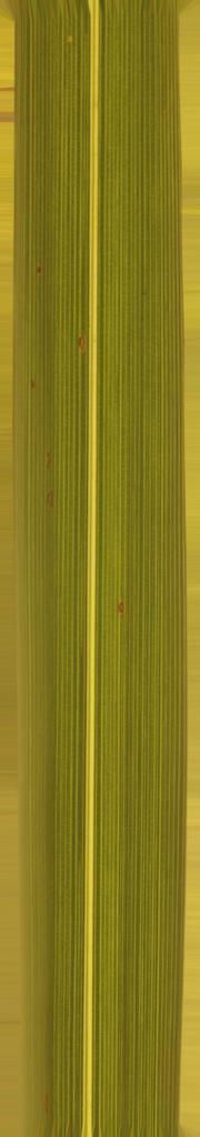 FAIR STAND DESIGN  3D print model_61