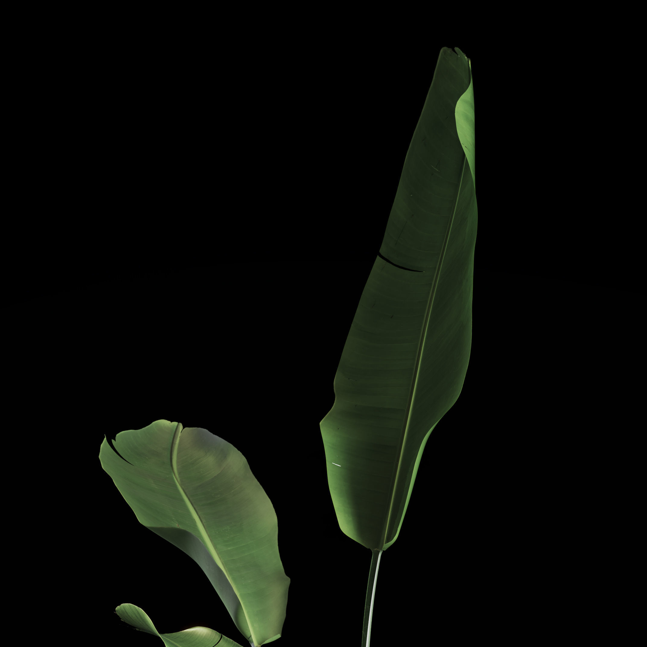 FAIR STAND DESIGN  3D print model_75