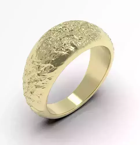 Ring 011