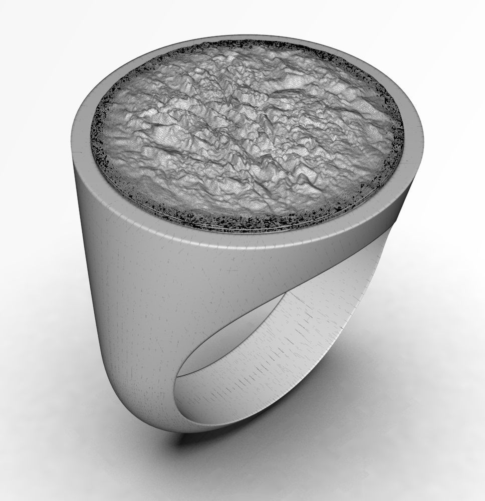 Ring 010 3D print model_11
