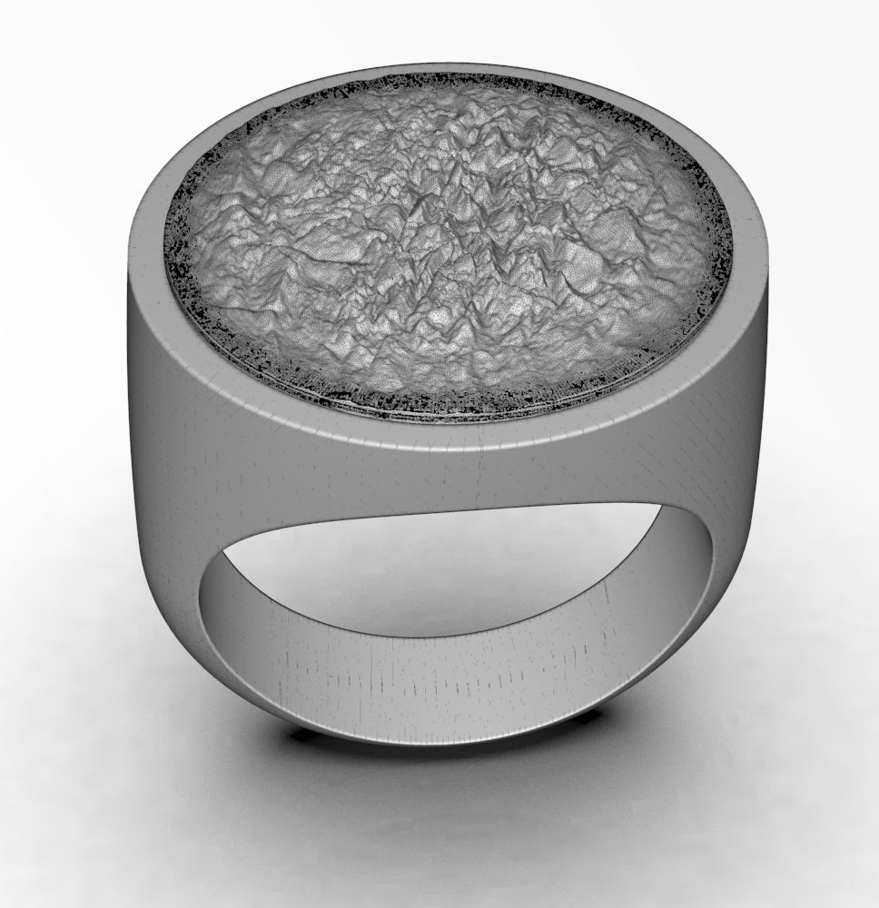 Ring 010 3D print model_14