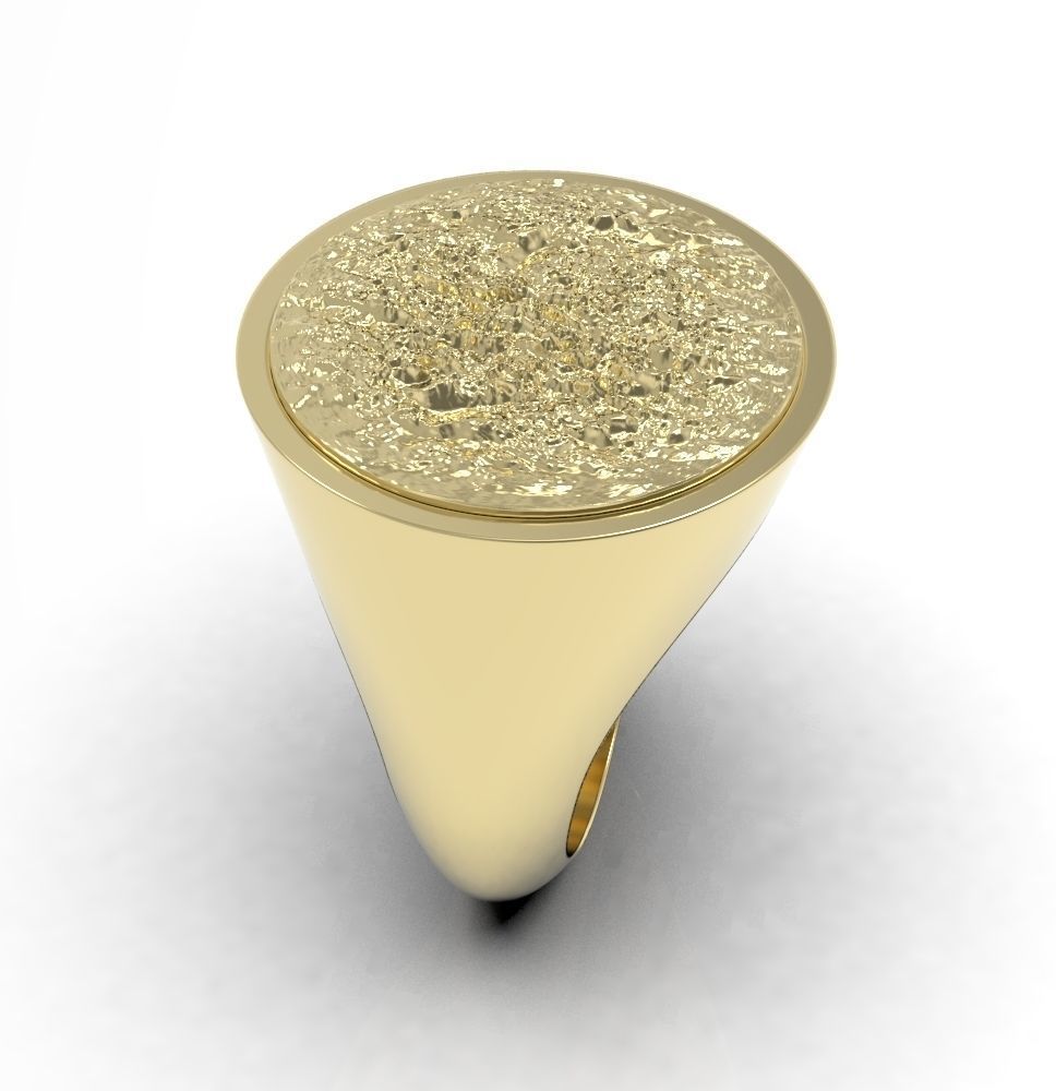 Ring 010 3D print model_16