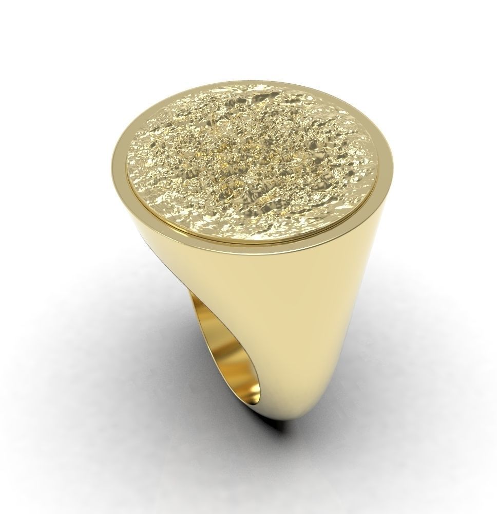 Ring 010 3D print model_24