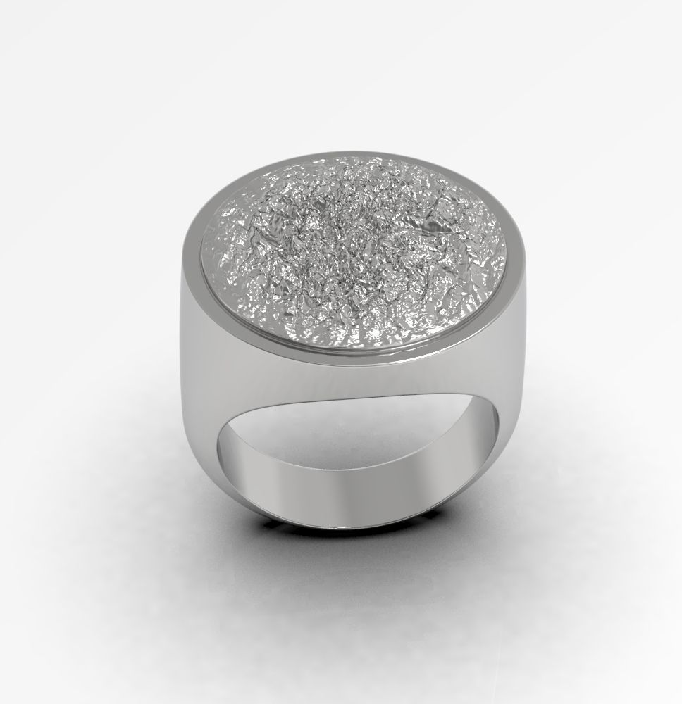 Ring 010 3D print model_3