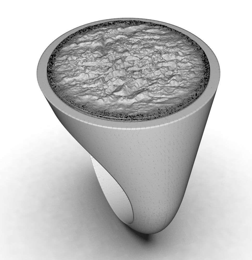 Ring 010 3D print model_15