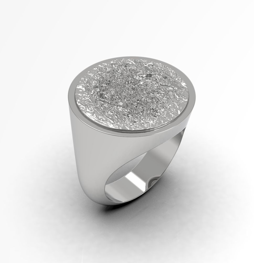 Ring 010 3D print model_1