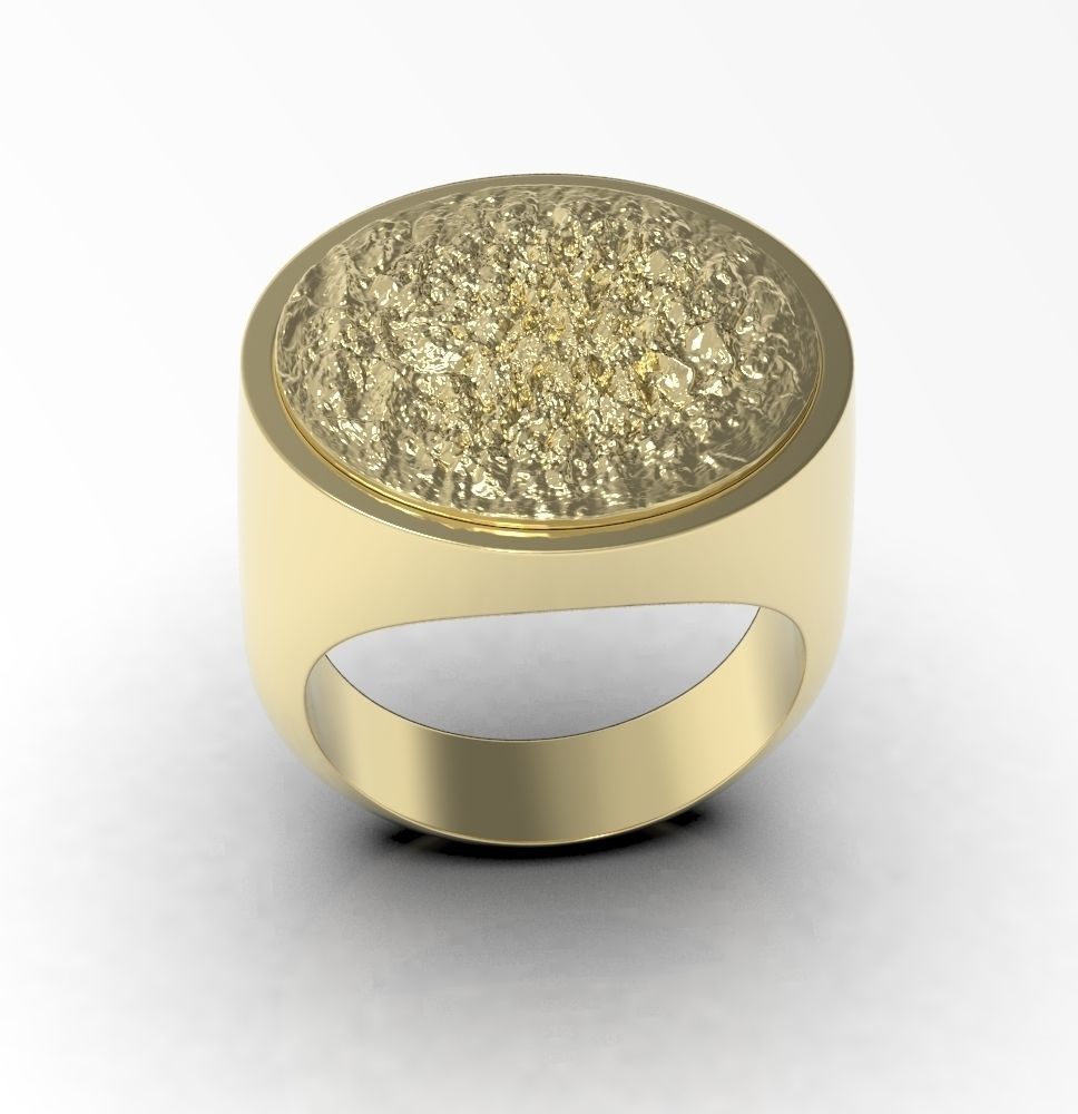 Ring 010 3D print model_22