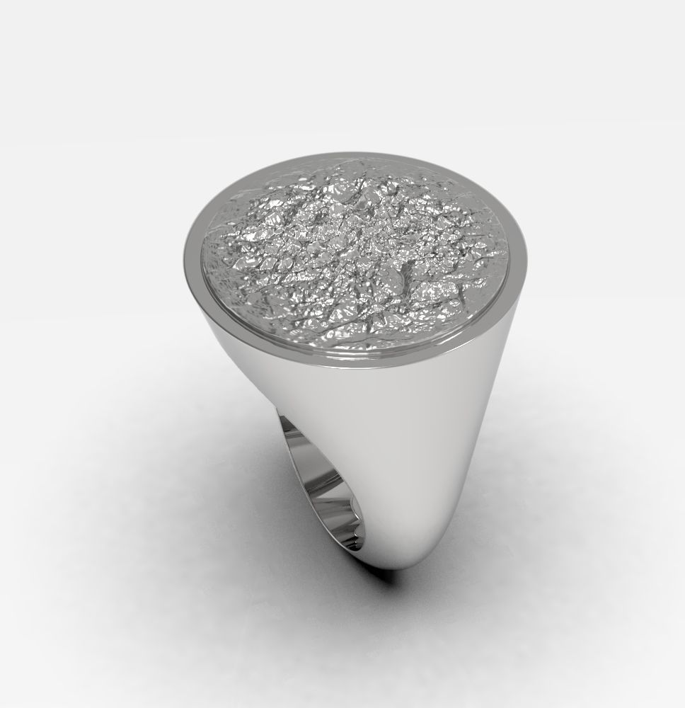 Ring 010 3D print model_5