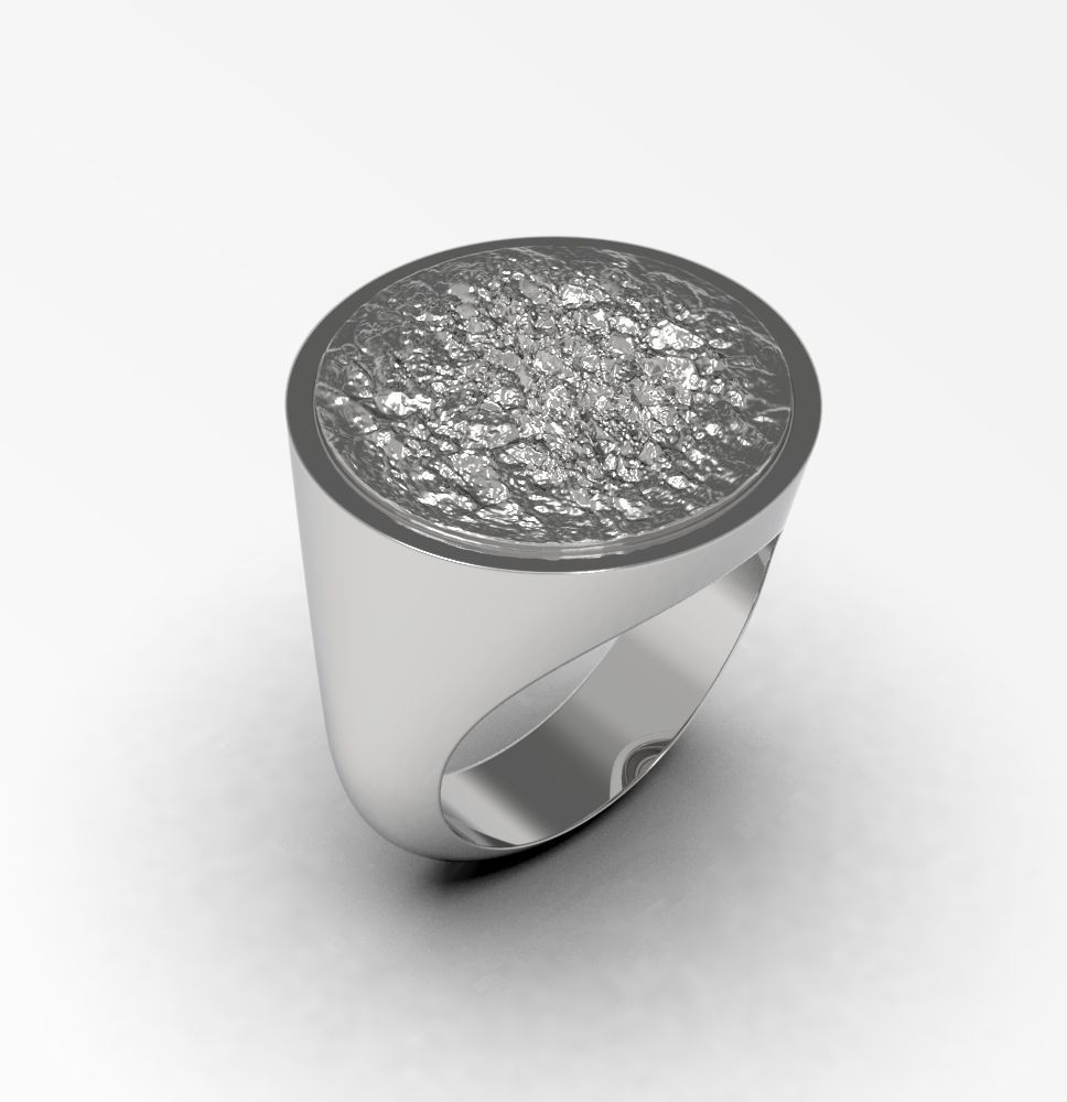 Ring 010 3D print model_7