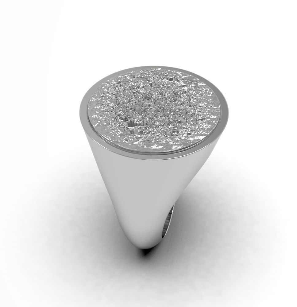 Ring 010 3D print model_2
